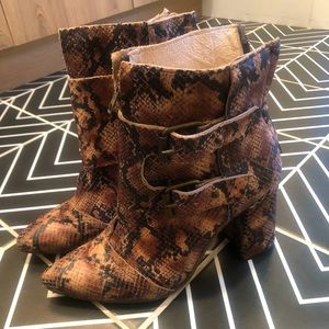 Freebird by Steven Joey in Brown Snakeskin